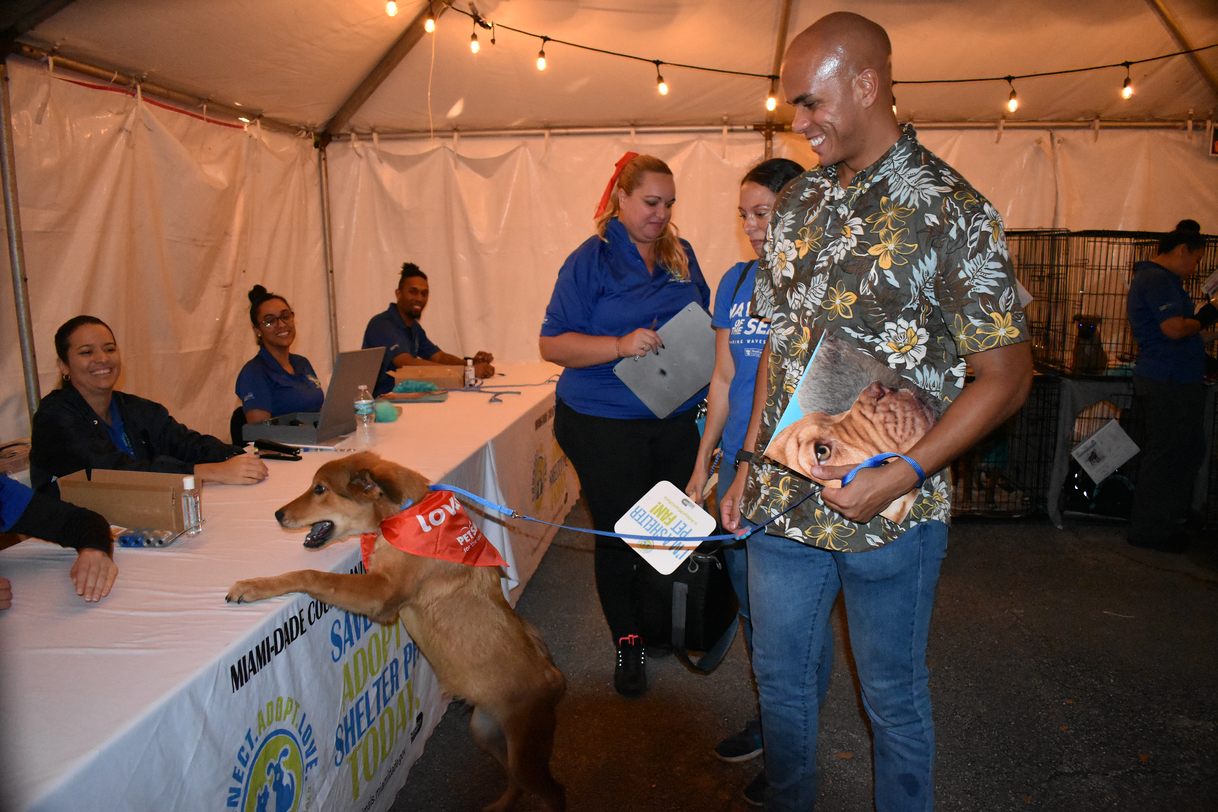 Shelter Pets Find Their Forever Homes At Miami Mega Match A Thon